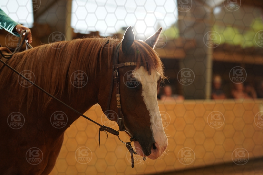 s_A9_06565.jpg